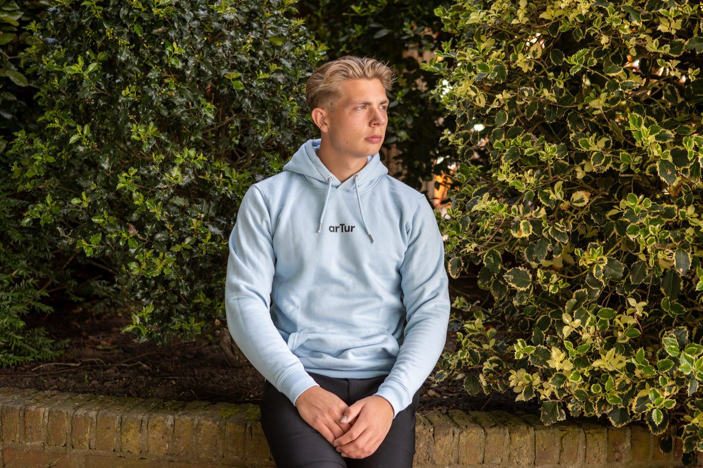 Icon Farm Premium Hoodie Sky Blue